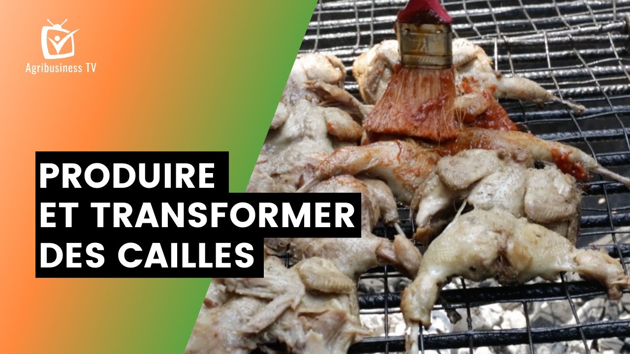 Bénin : Produire et transformer des cailles