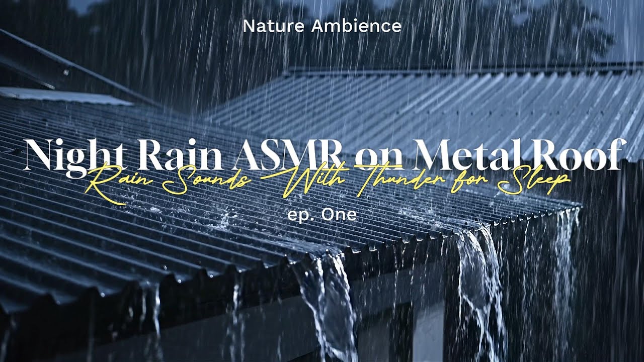Night Rain ASMR on Metal Roof