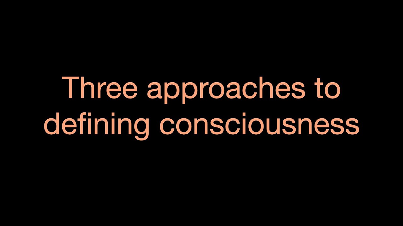 Three approaches to defining consciousness