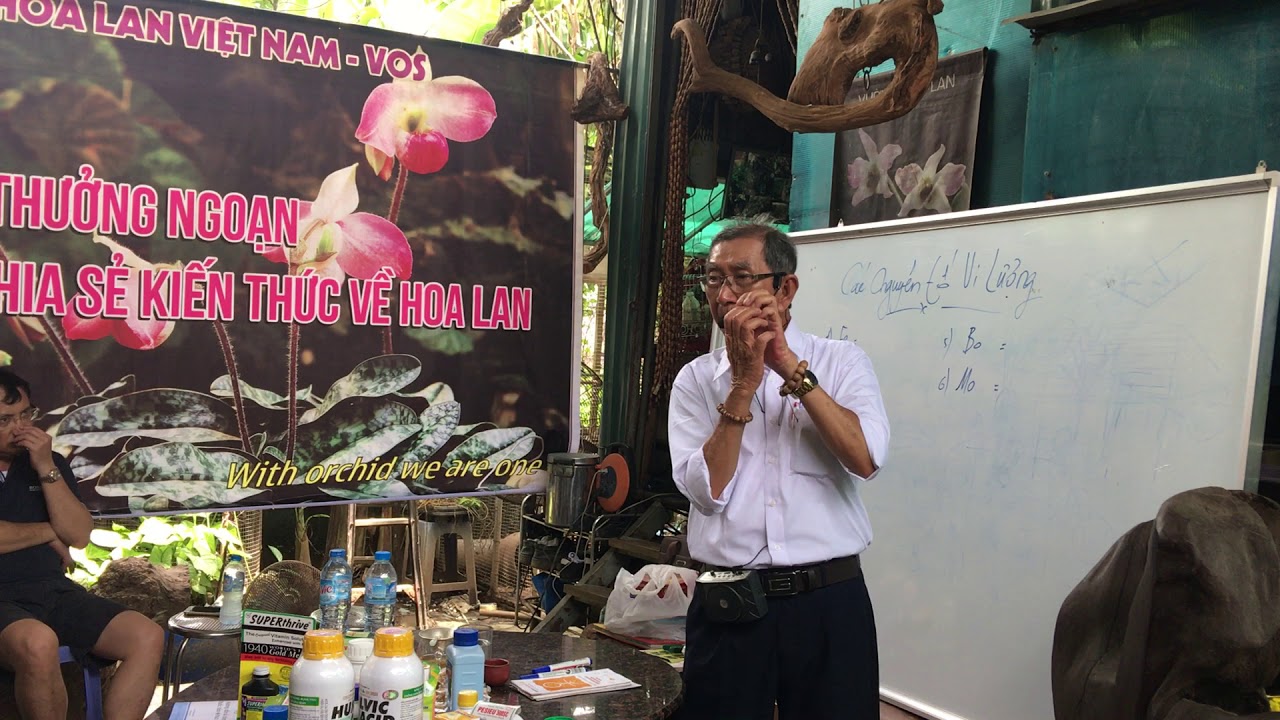 VOS - Nụ lan RỤNG SỚM, bông NGẮN, NHỎ do thiếu chất gì? (thầy Tám Ngọc)