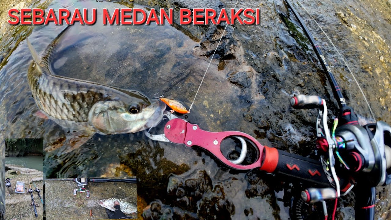💥 EDAN SEBARAU ARUS DERAS MEDAN BERAKSI 🤘 Kita Ambil Jatah di spot sejuta umat 🫡 #castinghampala 