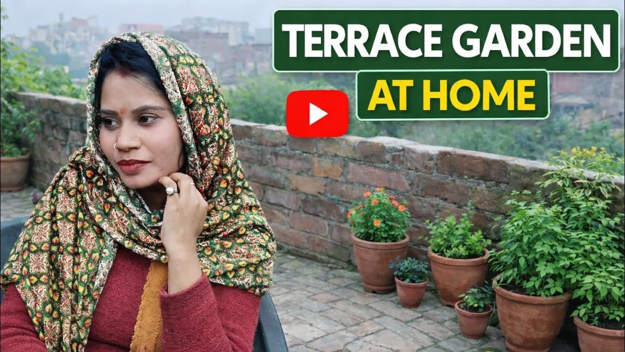Chat per gayi...mood fresh ho gya/ dailyvlog /Grihni #dailylife #sapna #grihnilife #indianvlog 