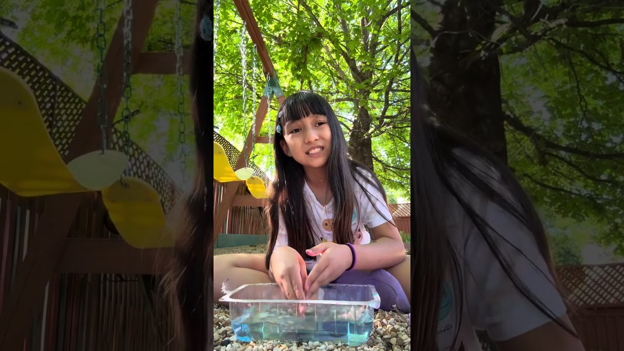 Hachimals unboxing yippee 🙌