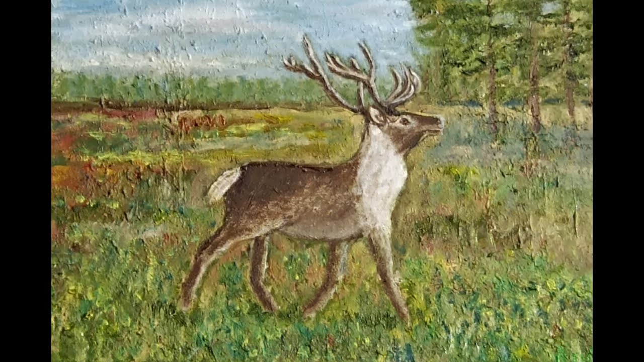 ANFE BIELKINA - LUONNON KAUNEUTTA - SELLON KIRJASTO