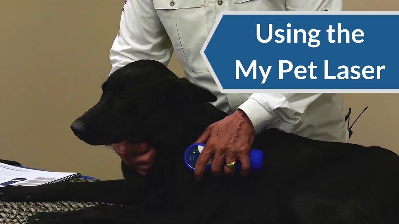Laser Therapy Protocol: Unwind, Tissue Repair, Inflammation | My Pet Laser