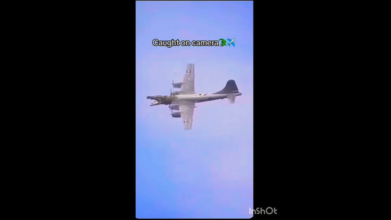 bombardino crocodilo 🐊✈️ caught in real life 😱 #remix #edit