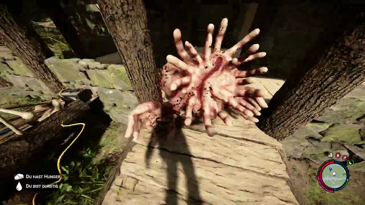 SonsOfTheForest -oben alles weg 😧 😭 -E176