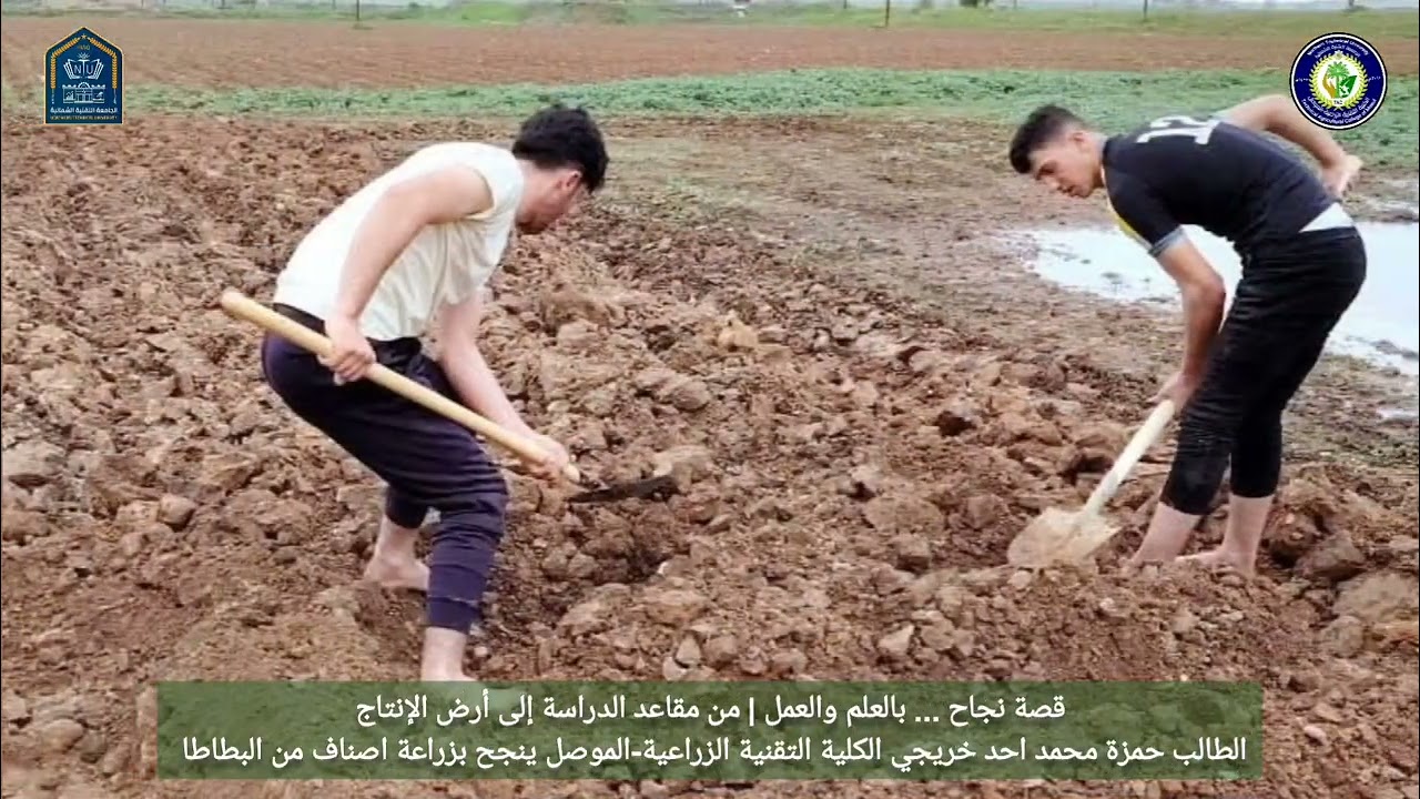 قصة نجاح. بالعلم والعمل|من مقاعد الدراسةإلى أرض الإنتاج الطالب حمزة محمد