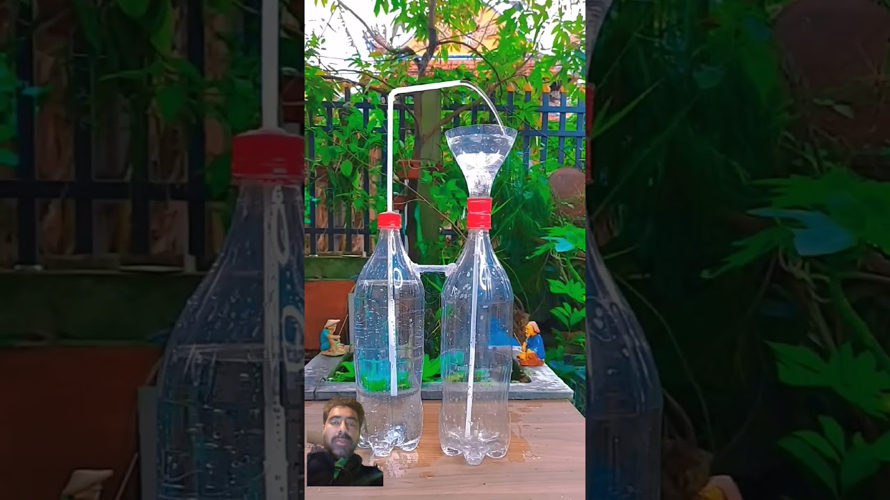 Non electric automatic water fountain from plastic botle #experiment #science #water #sciencing