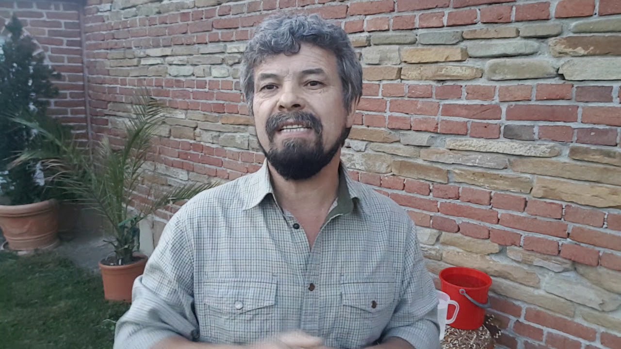 Erbicidare totala cu glifosat