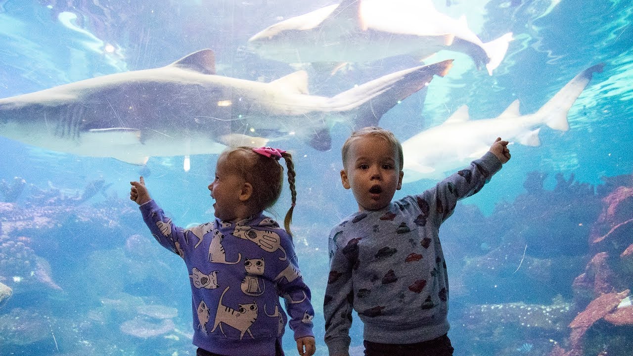 Gaby and Alex visiting Aquarium. Family Fun for kids