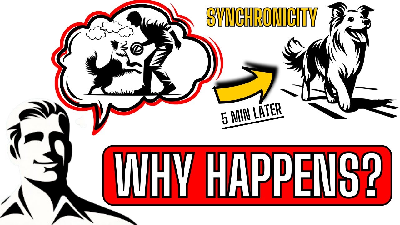 Why does SYNCHRONICITY Occur? | Carl Jung