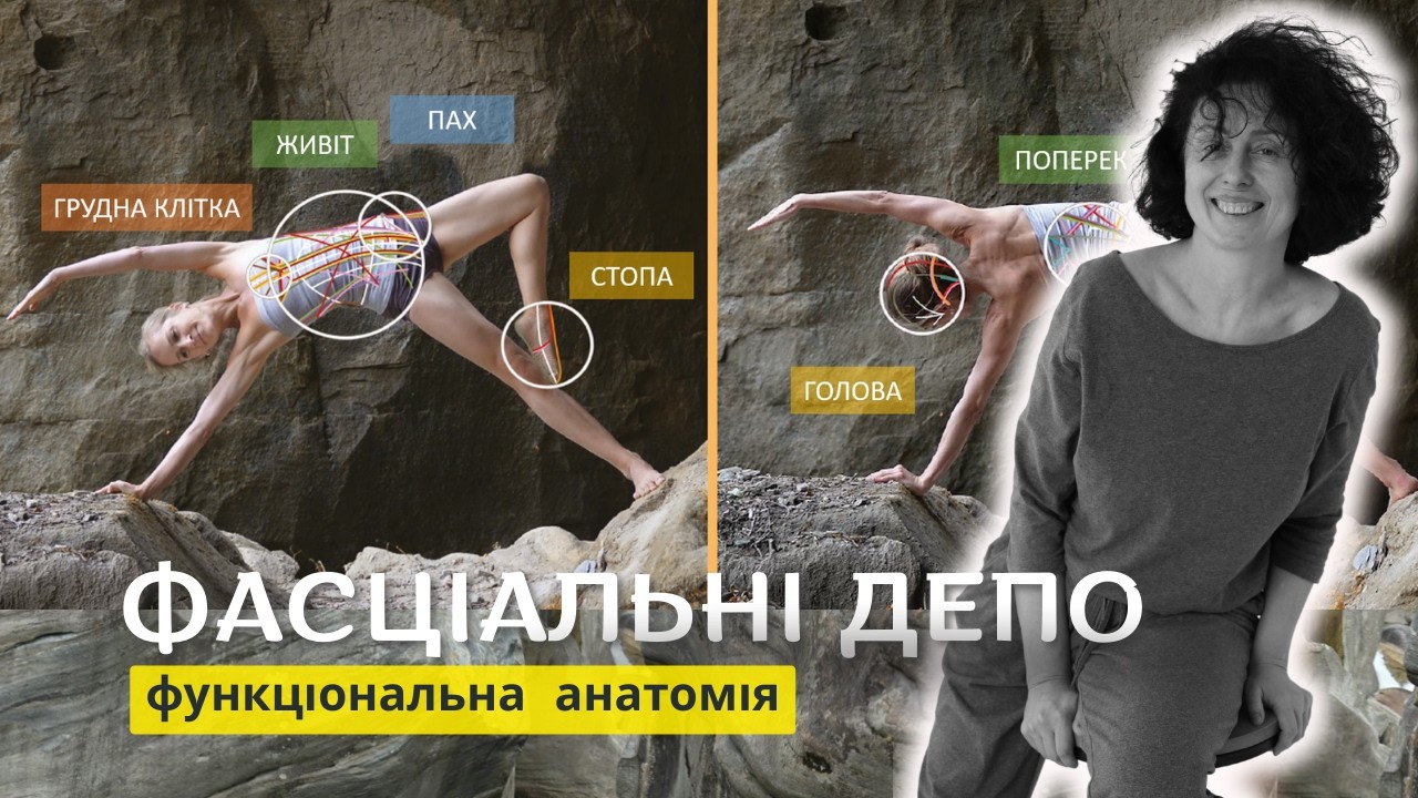 Фасціальні депо | Анатомічні поїзди | FAMO Фасція в русі