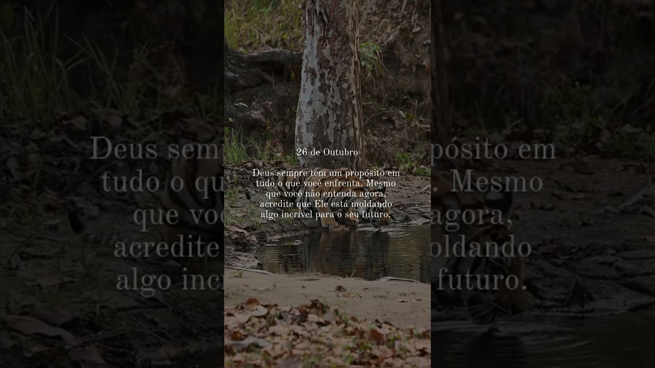Deus sempre tem um prop&oacute;sito em tudo o que voc&ecirc; enfrenta. #Prop&oacute;sitoDeDeus #Confian&ccedil;a #F&eacute; #shorts