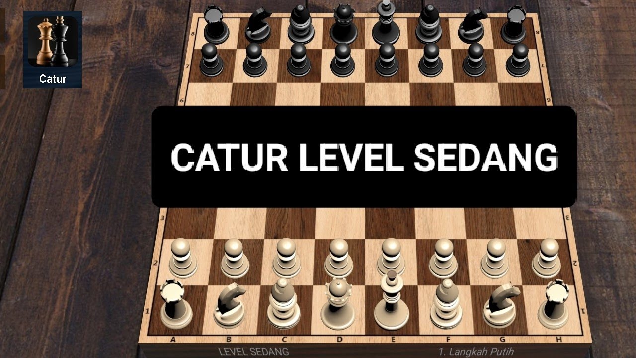 Main Catur Level Sedang - Part 6