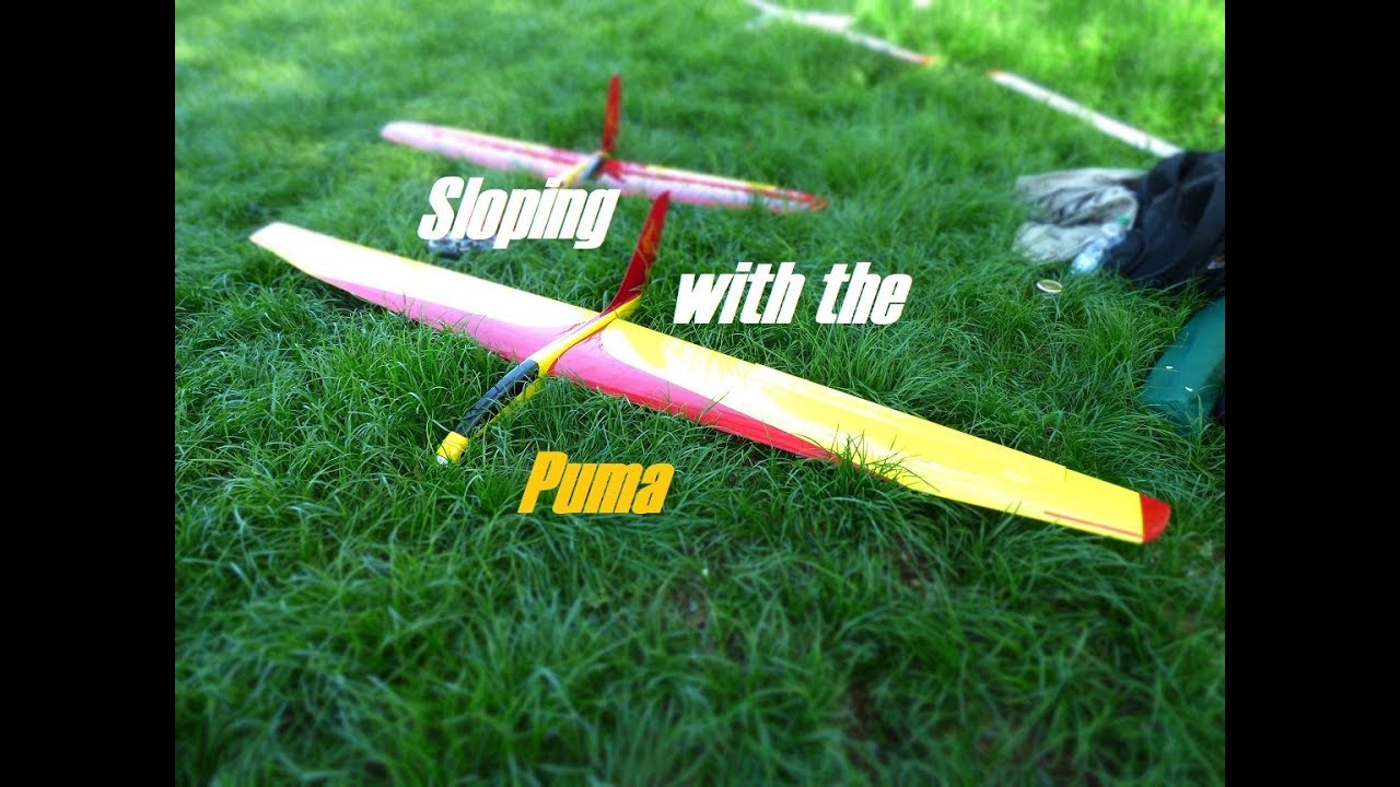 Leo is sloping his Puma