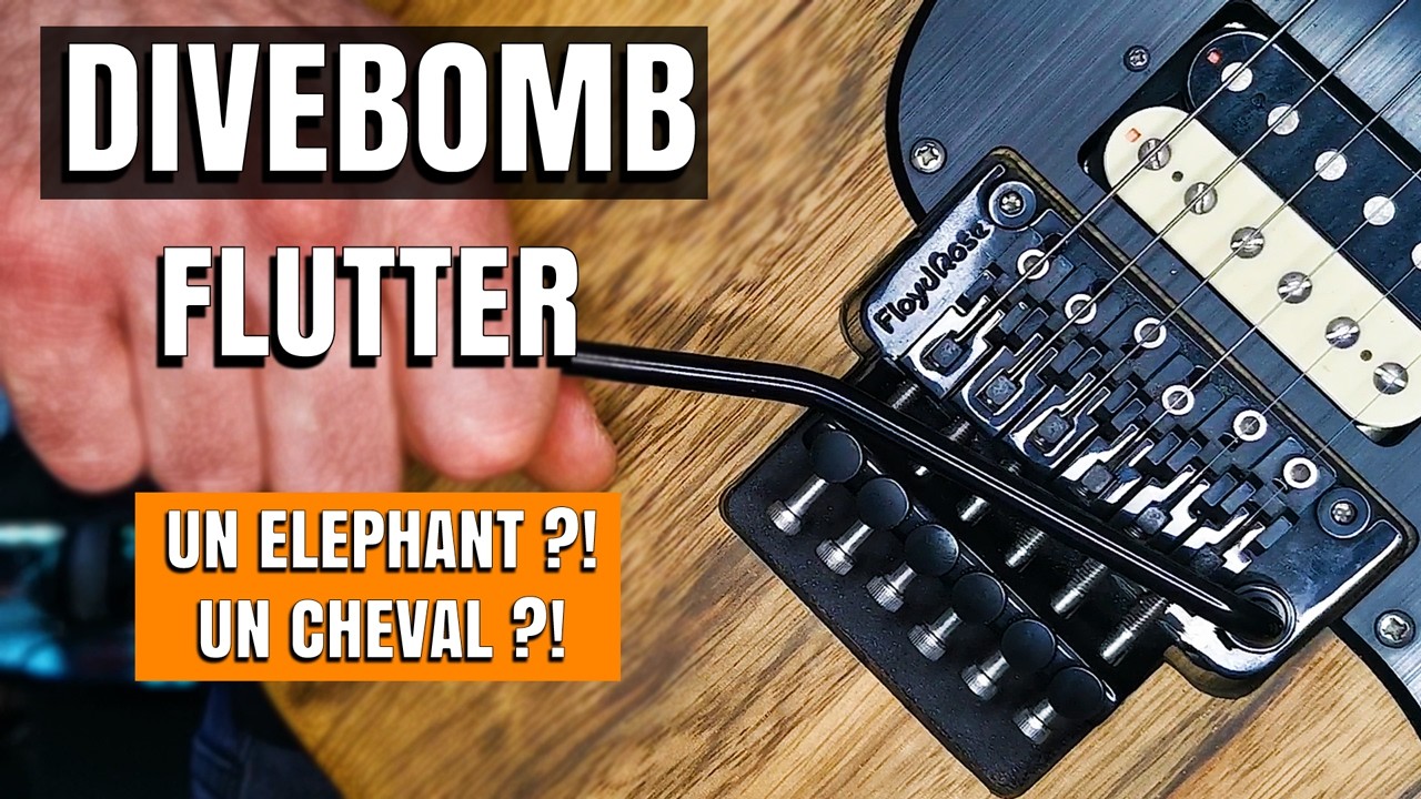 WHAMMY BAR : TECHNIQUES DE BASE & SONS INSOLITES