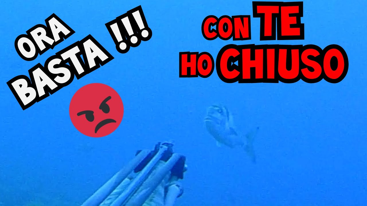Pescasub: ORA BASTA!!! CON TE HO CHIUSO... Spearfishing