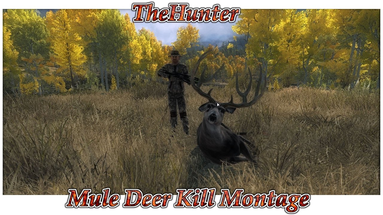 TheHunter - Timbergold Trails - Mule Deer Kill Montage