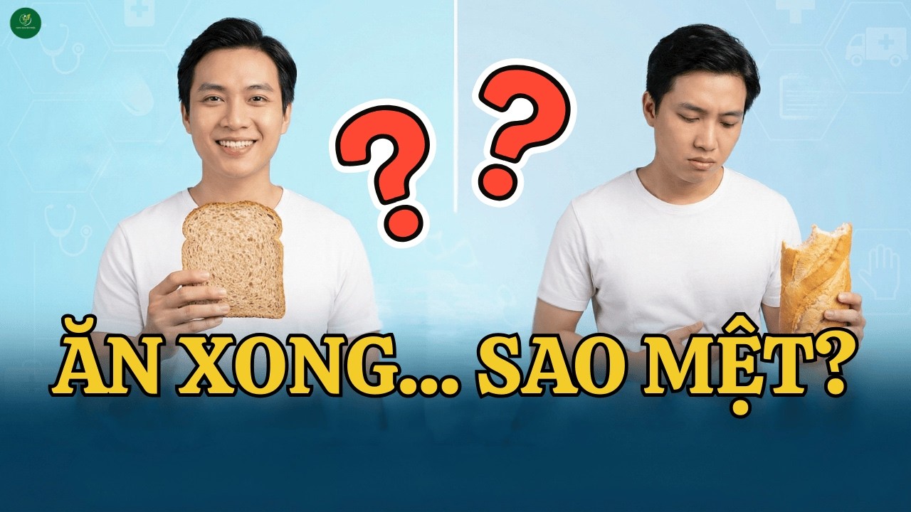 Có hôm ăn bánh mì thấy khỏe, có hôm lại mệt — sự thật nằm ở cơ thể bạn