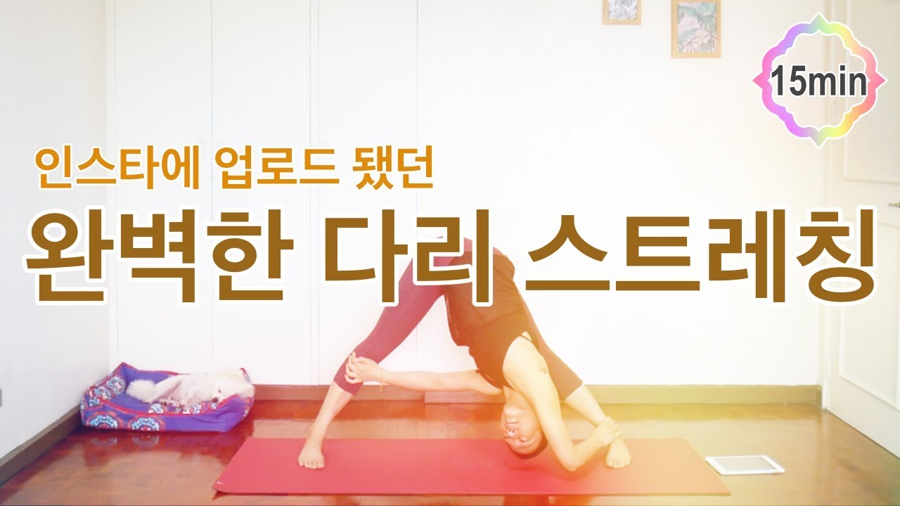 [EVA YOGA]인스타에 업로드 됐던 완벽한 다리 스트레칭