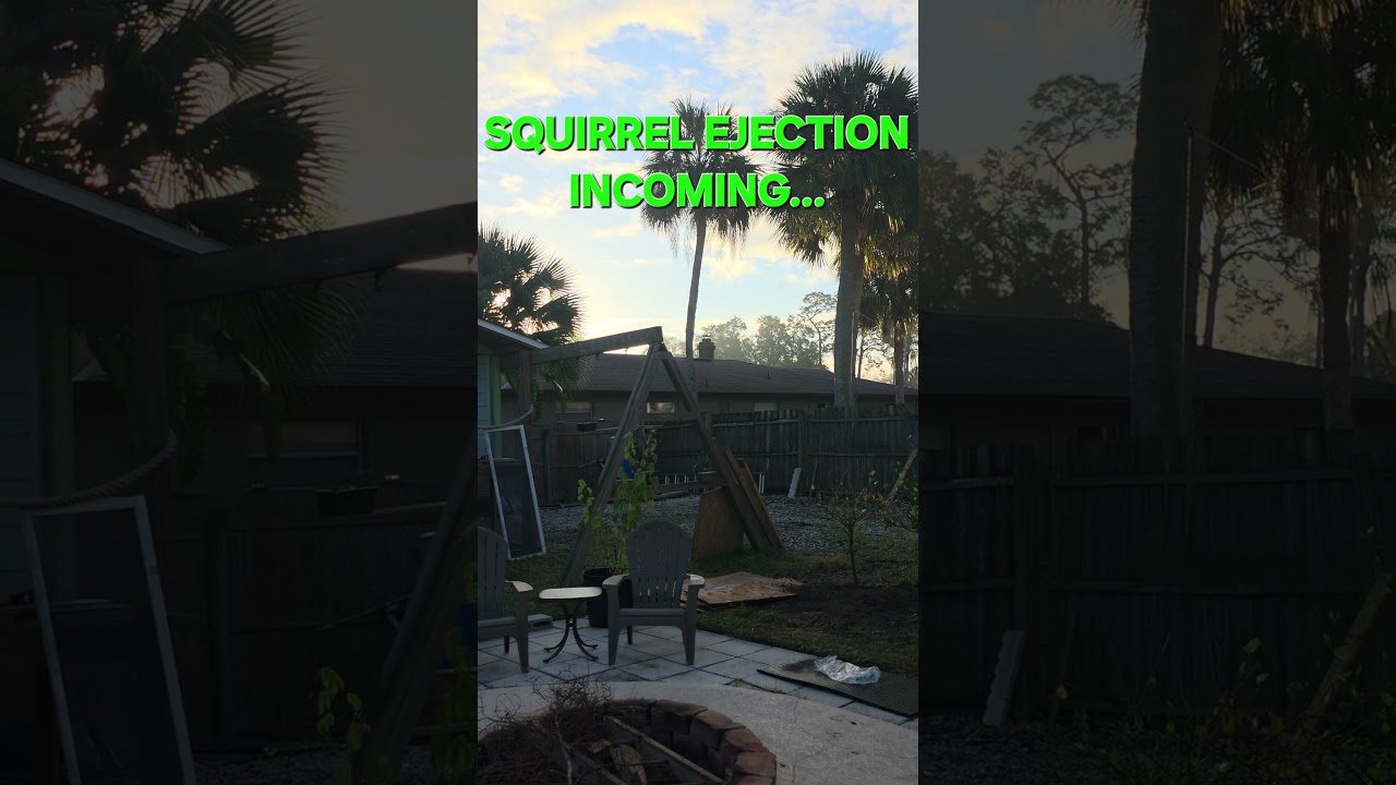 Tuesday Morning Squirrel Launch 
