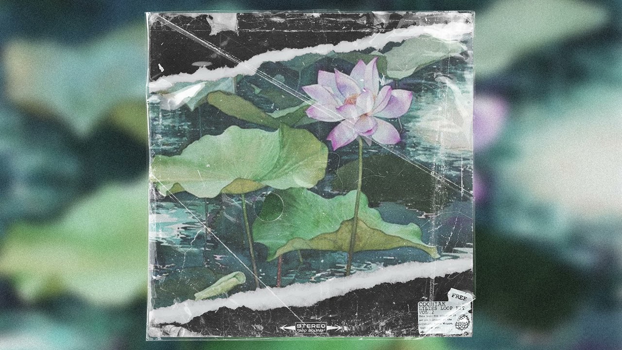 [FREE](20) LOOP KIT 