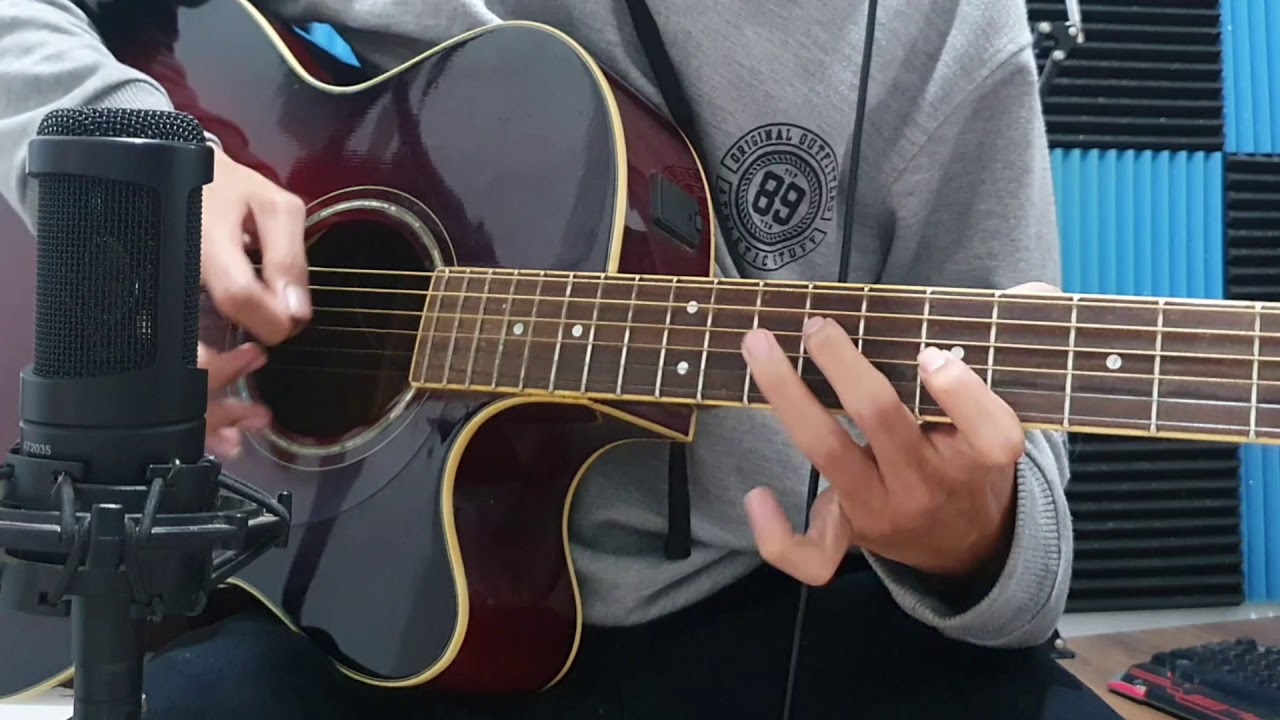 Graze the Roof - Plants vs Zombies (acoustic guitar cover)
