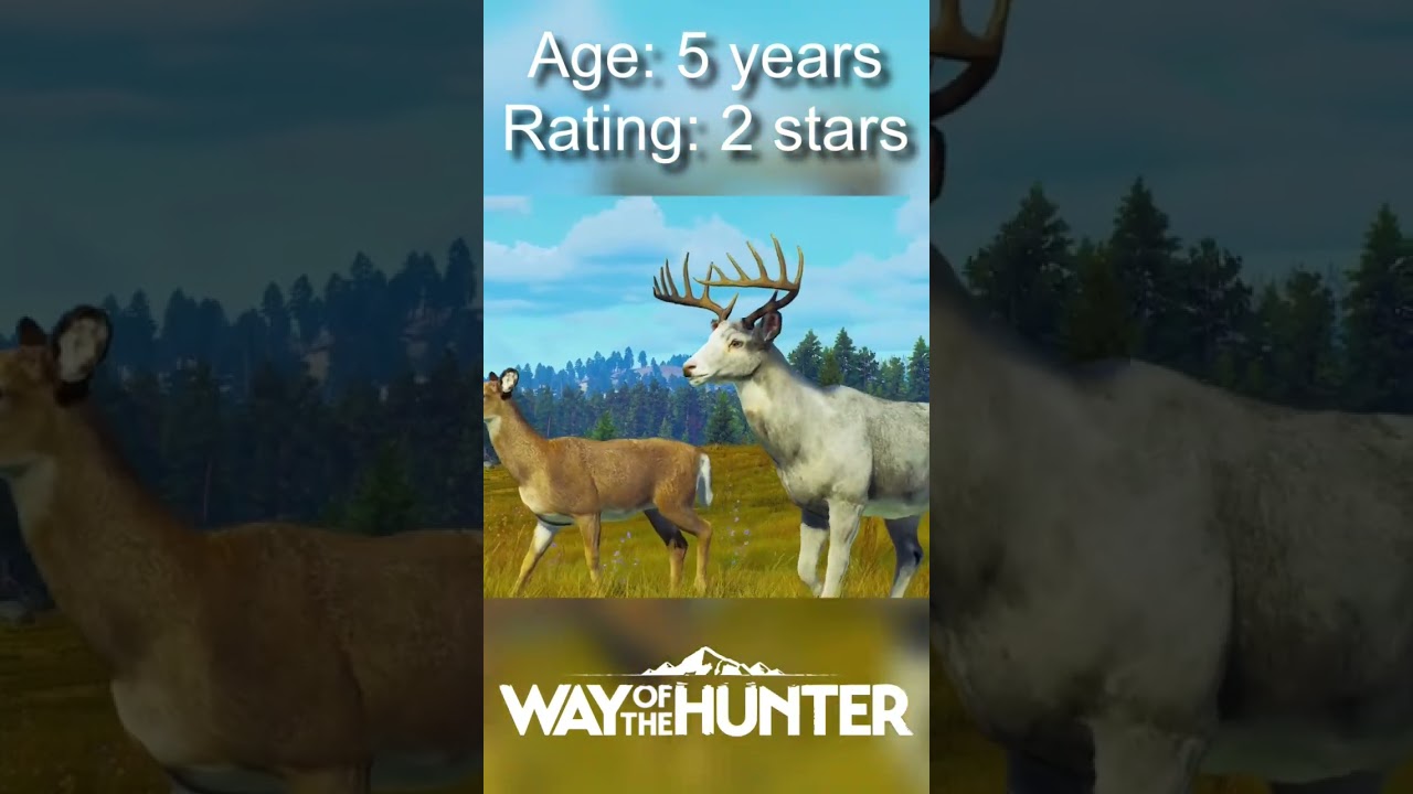Follow an Albino Buck&rsquo;s Journey To Full Maturity! #wayofthehunter #shoosterarmy #shorts