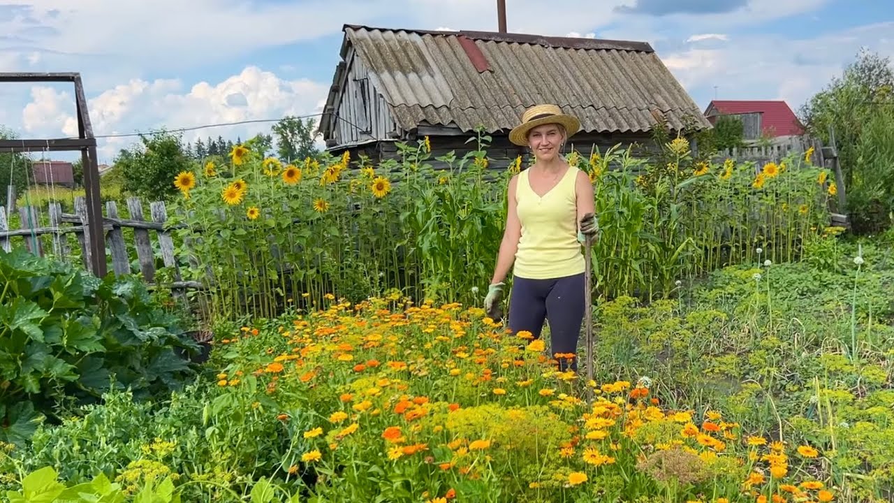 ОДНА НА ХОЗЯЙСТВЕ/ДЕРЕВЕНСКИЙ ОГОРОД И ЖЕНСКИЕ ХЛОПОТЫ