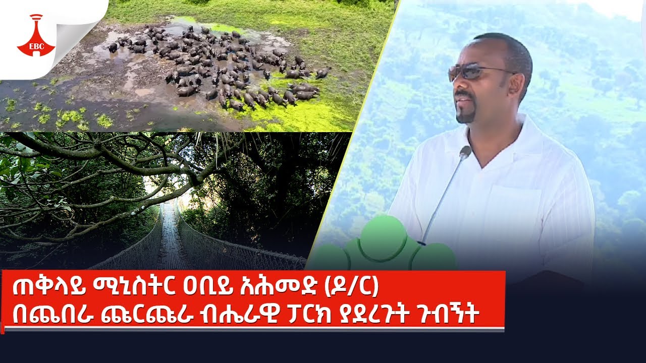 ጠቅላይ ሚኒስትር ዐቢይ አሕመድ (ዶ/ር) በጨበራ ጩርጩራ ብሔራዊ ፓርክ ያደረጉት ጉብኝት Etv | Ethiopia | News