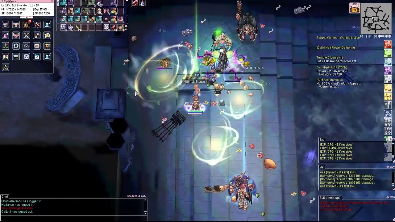 [IRO Chaos] Doram - Spirit Handler - Magic Support (AKA: Mini PWave Cat :3)