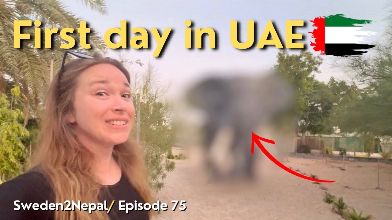 I Can't Believe My Eyes | United Arab Emirates | [E75]