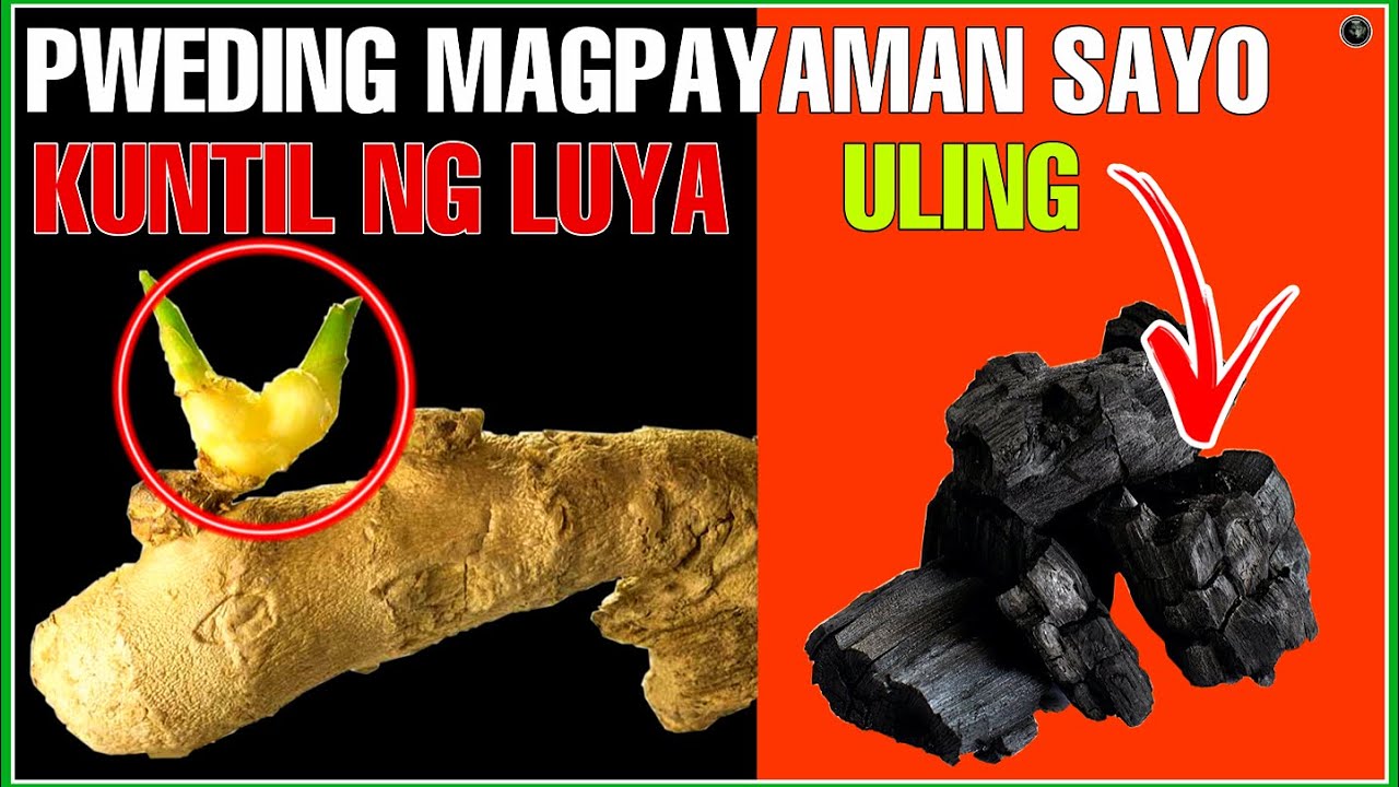 BISA AT PAMPASWERTENG TAGLAY NG ULING AT NG KUNTIL NG LUYA ALAMIN | BHES TV
