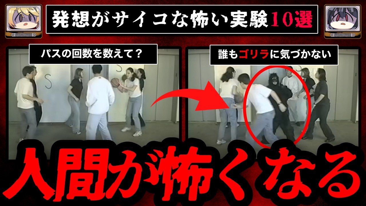 【人間の狂気】発想がサイコな怖い実験10選【ゆっくり解説】
