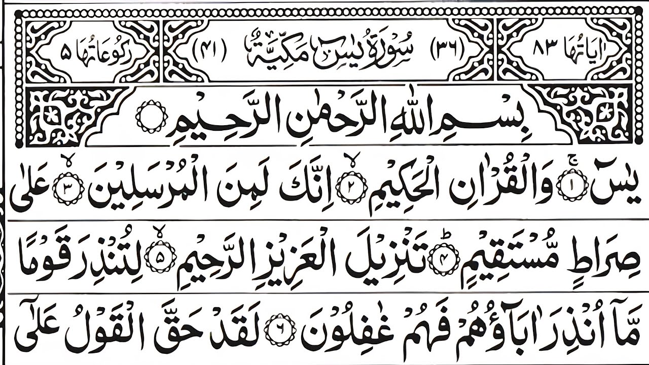 Surah Yaseen Sharif | The Light Of Quran | Ep 201| Surah Yaseen Surah Rahman Al Mulk Recitation HD