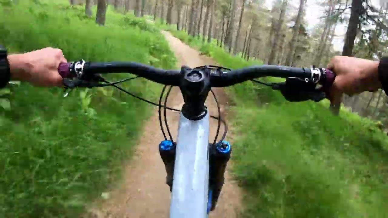 Tarland Trails