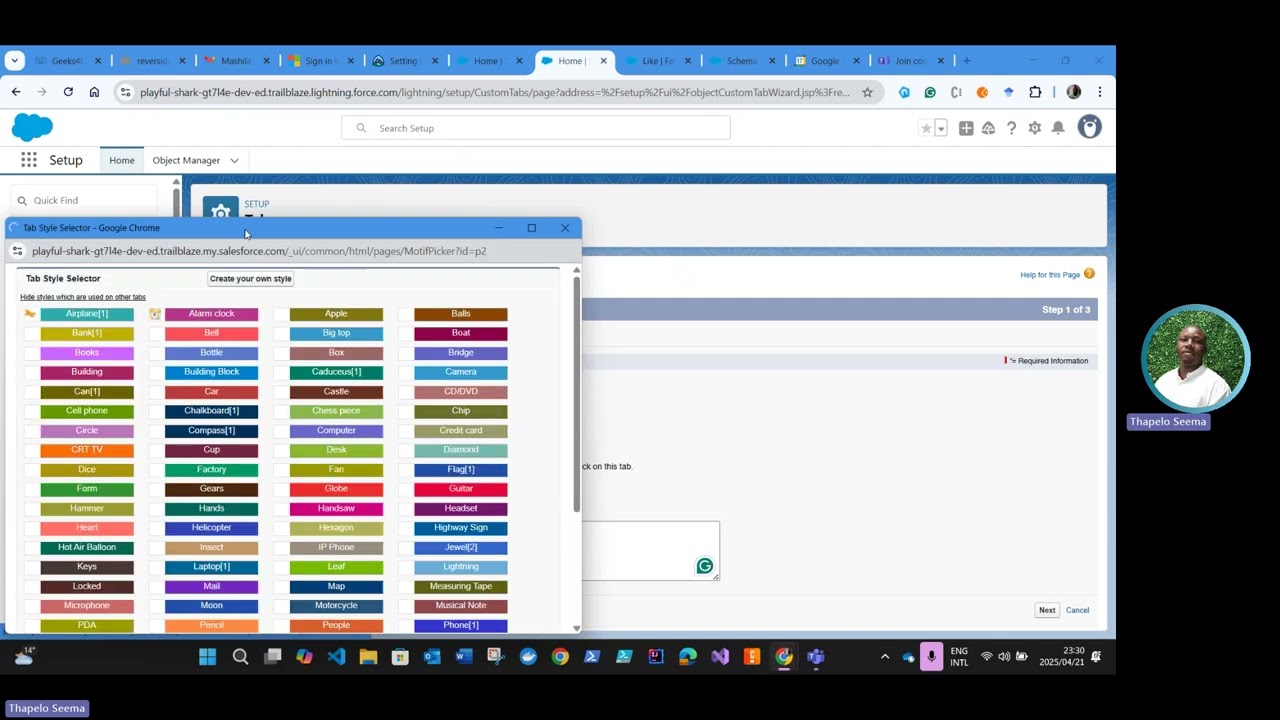 Salesforce Lightning Experience Customization - Setup Your Org
