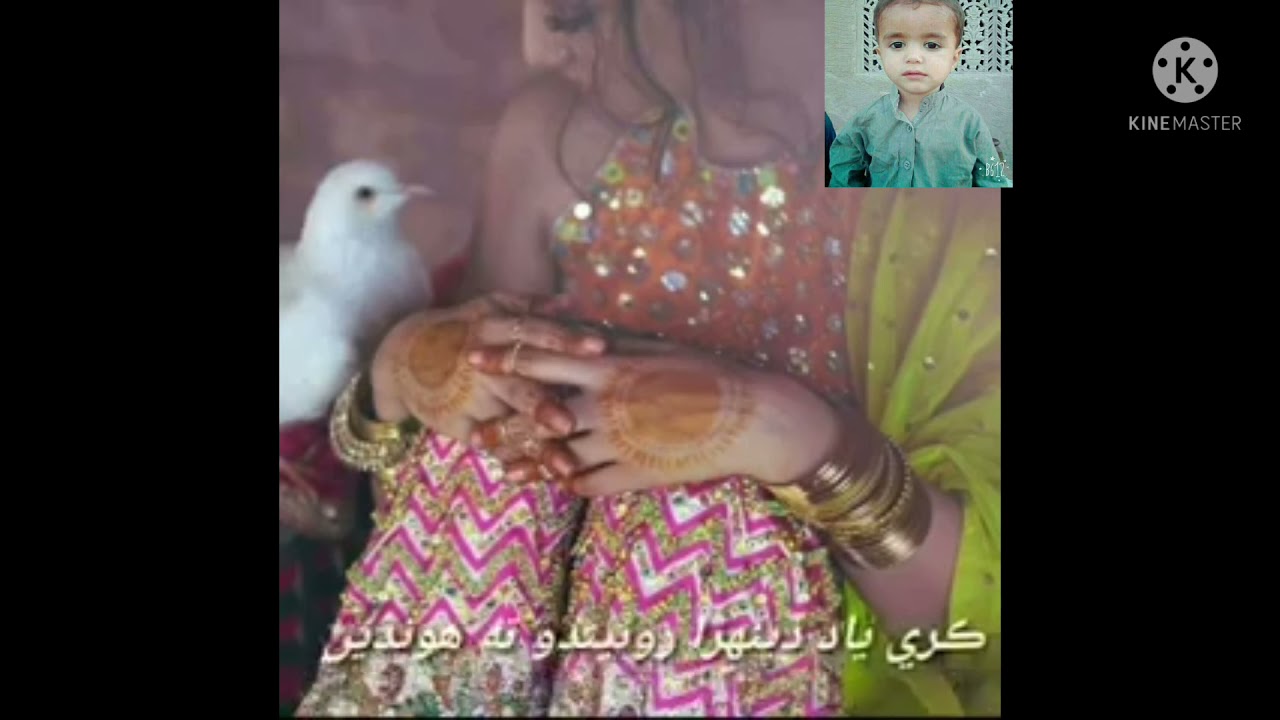 Sindhi song zamin Ali what is Apple