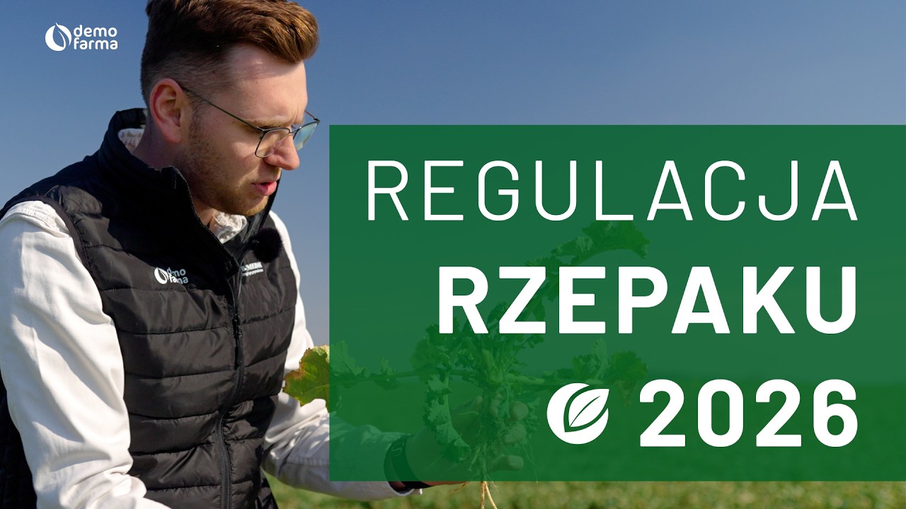 Regulacja rzepaku - sezon 2026
