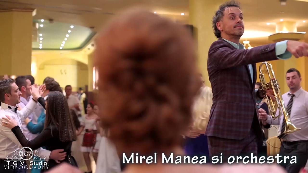 Mirel Manea si Orchestra mp4