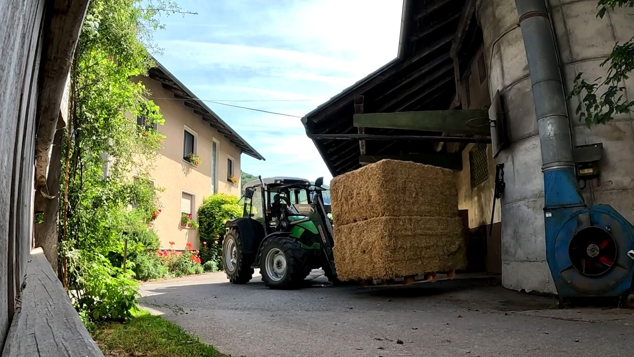 Summer on the Farm