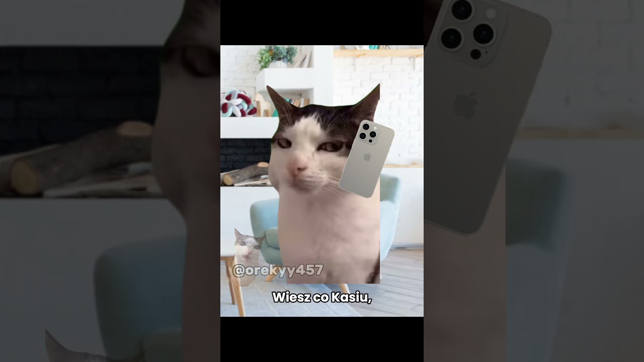Kotek wykiwał mamę 😹