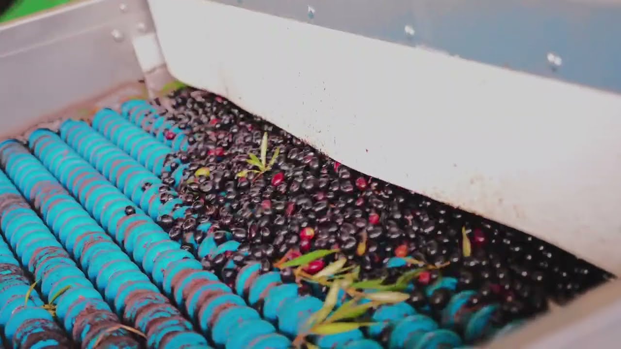 CASO DE &Eacute;XITO - COOPERATIVA SIERRA LA PANDERA CON TECNOLOG&Iacute;A ASIGRAN