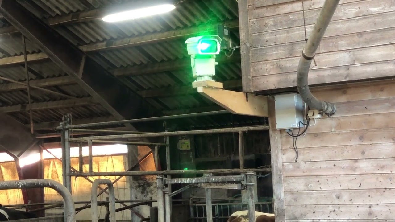 Birdlaser Standard