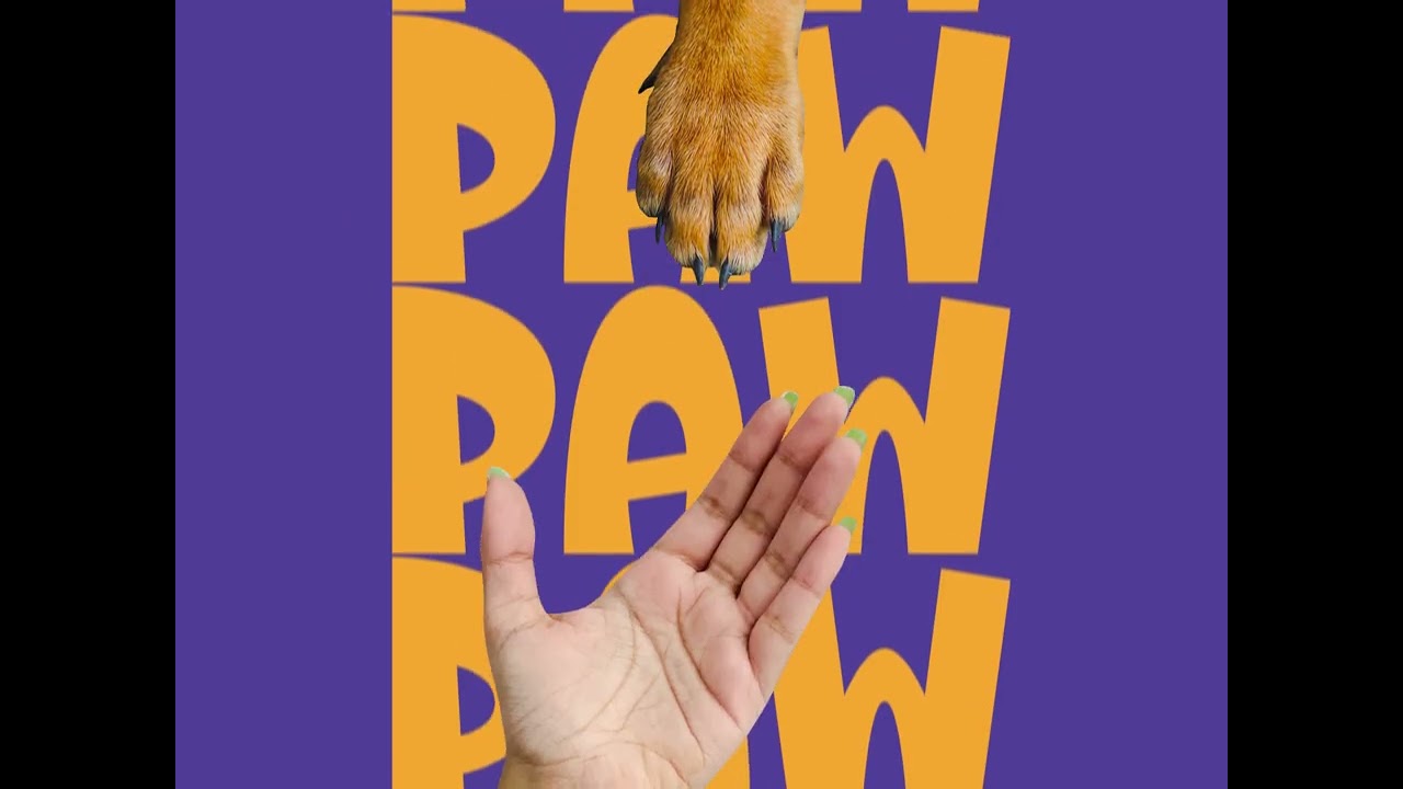 PAW Foundation 1