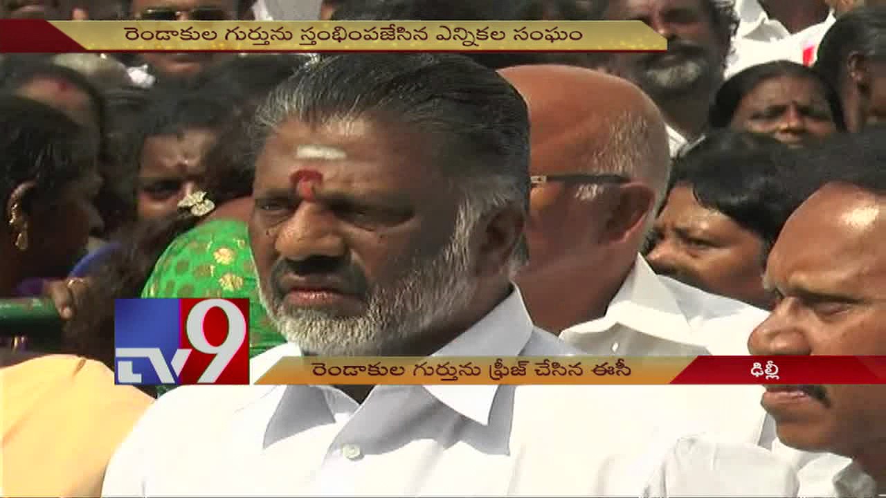 Election Commission freezes AIADMK's two leaves symbol - TV9