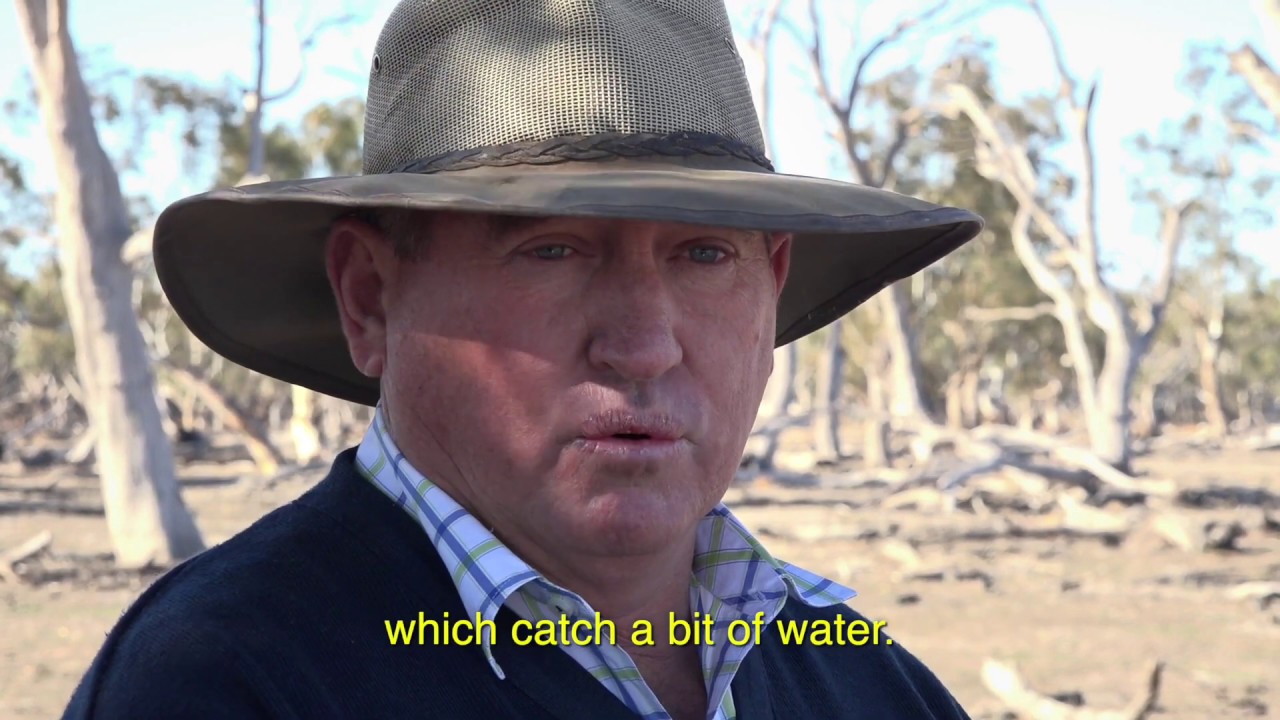 NSW river water extraction - some rare good common sense