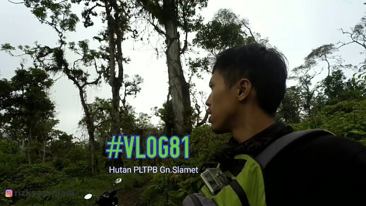 Menelusuri Hutan PT. SAE Gn.Slamet