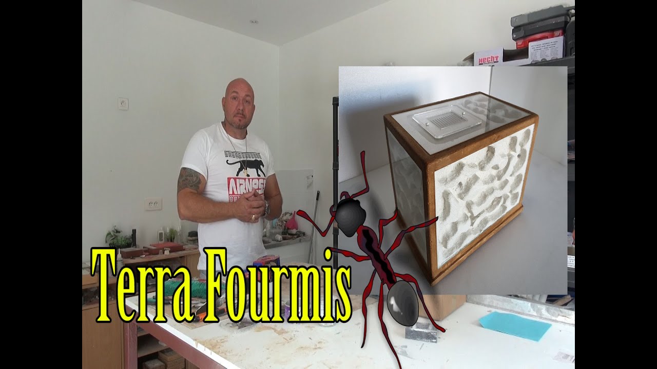 TERRA FOURMIS - Fourmilières en pierre reconstituée